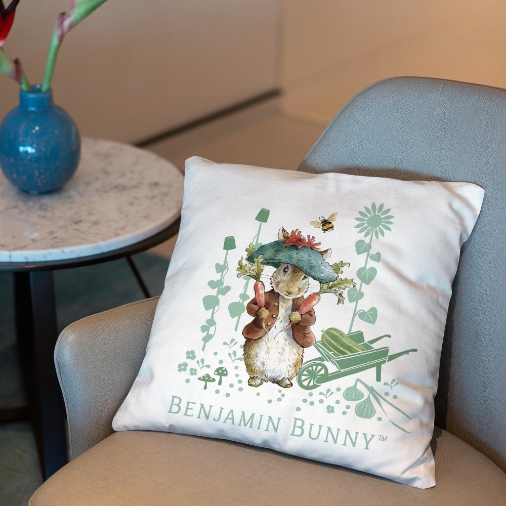 P-Peter Rabbit printing Cushion Cover 2-in-1 Reversible Plush Pillow Cover | Car/Sofa/Bed | Perfect Gift
