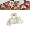 Elegant Lace Bow Hair Clip In Assorted Colors For High Ponytail And Updos Perfect For Stylish Women