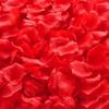 1000Pcs Artificial Fake Rose Petals Colorful Simulation Silk Rose Petal For Valentines Day Wedding Party Romantic Decoration