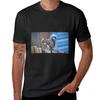 Squirrel Stalking 1 TShirt Quickdrying Sports Fans Oversized Mens T Shirts Casual Stylish