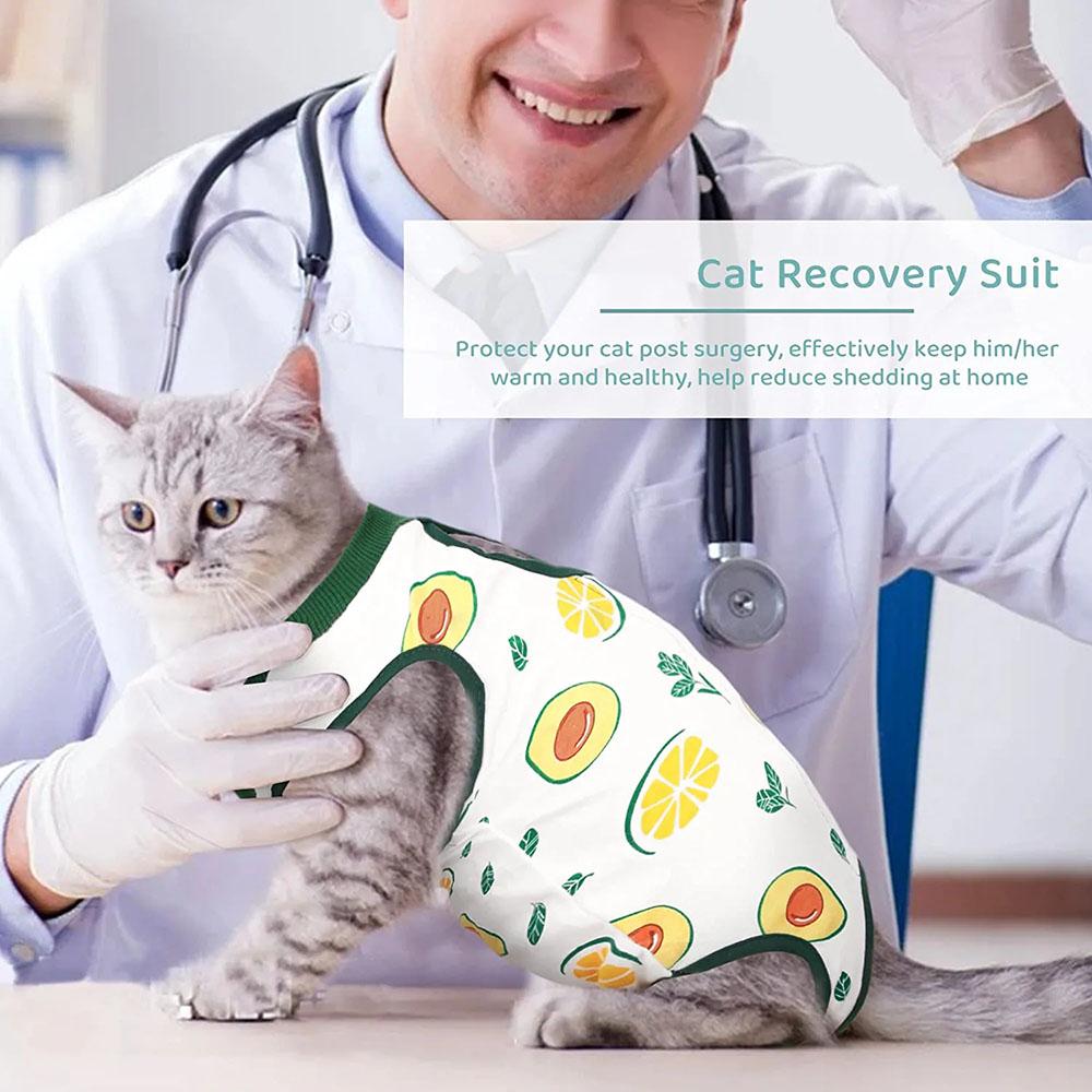 Cat Recovery Suit Kitten Suit E-Collar Alternative for Cats Puppies Small Dogs Abdominal Skin Anti Licking Pajamas Pet Clothing