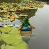 Unique Floating Turtles Frogs Sculpture With Rowing Theme Decorative Ornament For Outdoor Fountains Or Indoor Vignettes