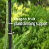 Drakenvrucht Klimrek Metaal Klimplant Ondersteuning Klimrek Verstelbare Tuinondersteuning Plant Klimframe voor Verticale Tuinbouw Klimplanten