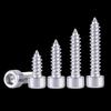 304 Stainless Steel Cup Head Self-Tapping Screw