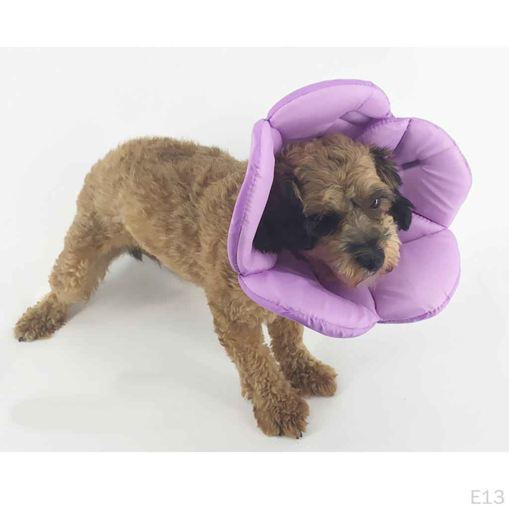 Adjustable Collar Pets From Scratching And Biting