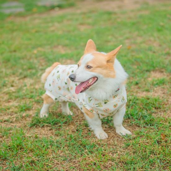 Haine pentru animale de companie Model de desene animate Salopetă pentru animale de companie Respirabilă Confortabilă din bumbac moale Pulover pentru câini Articole pentru animale de companie