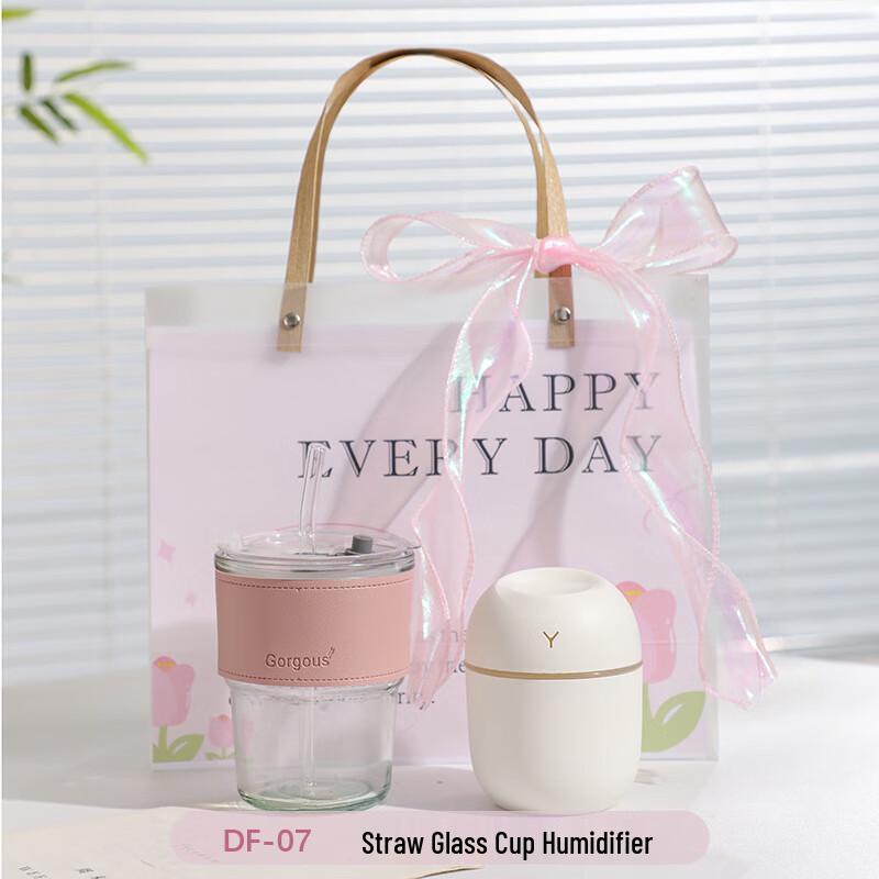 Portable Glass Cup and Humidifier Gift Set DF-07 Glass Cup + Humidifier