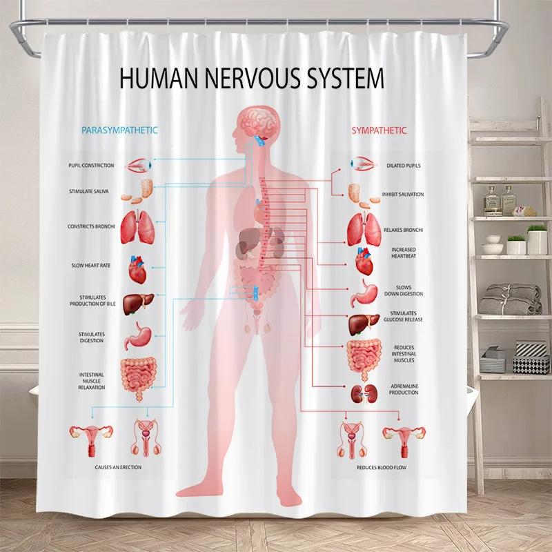 Moderne Periodieke Tabel Douchegordijn Polyester Stof Leuke Badkamer Decoratie Waterdicht Scheidingsgordijn 90x180cm 35x70inch