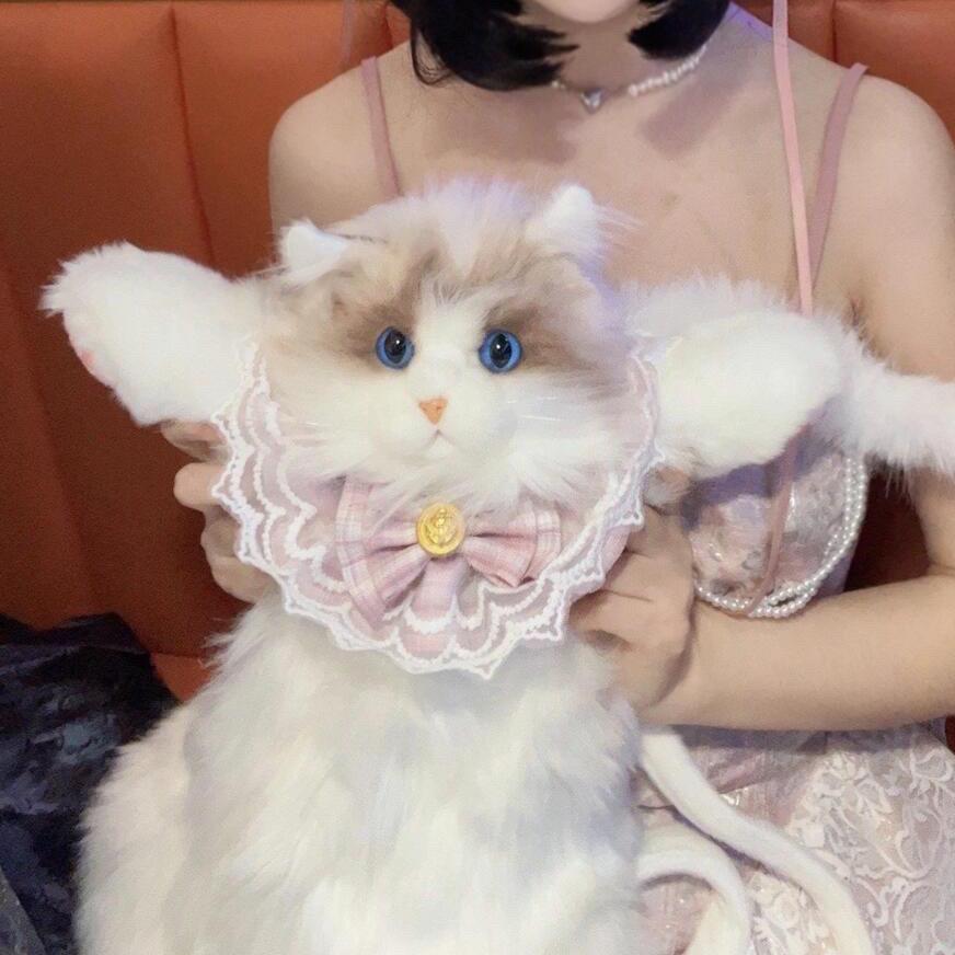 Ragdoll Cat Plush Backpack and Kitten Pillow Toy Gift