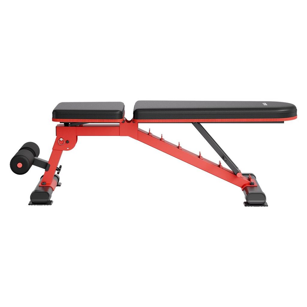 Weight Bench Sit Up Bench Home Gym Strength Training Adjustable Foldable