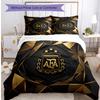 Argentina Football Printed Bedding 3 Piece Set Cozy Breathable Bed Cover Set As Housewarming Holiday Gift