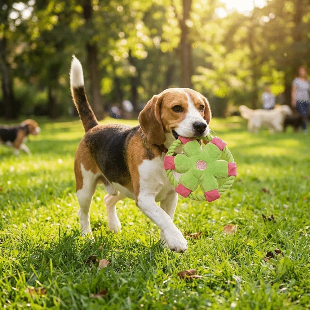Squeaky Dog Chew Toy Cotton Rope Rope Dog Toy Dog Plate Game Dog Flying Disc Teeth Cleaning