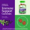 21st Century, VitaJoy Gummies, Sambucus Elderberry, 60 Veggie Gummies