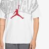 Jordan Printed Crew Neck Short Sleeve T-Shirt Men Tops IQ0708-100