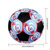 SIZE 5 RC Strasbourg Alsace Soccer Ball Colorful All Ages Machine Stitched PVC Competition Ready Durable High-Bounce