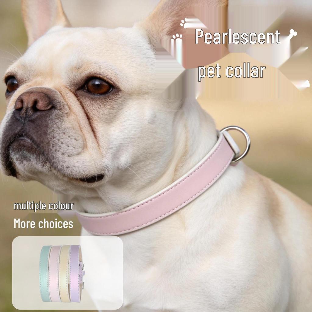 Pearlescent Dog Collar for Small & Medium Breeds: French Bulldog, Teddy