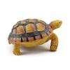 Sulcata Tortoise Mold Vivid Clear Texture 3D Effect Sea Ocean Life Simulation Animal Model for Kids