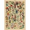 Arte Murale Classica Vintage Piante Fungo Fiore Medicinale Insetto Farfalla Verdura Zucca Carota Tela Poster ad Olio e Stampe
