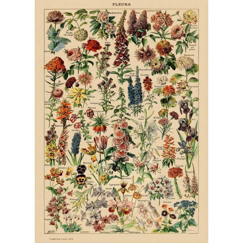 Arte Murale Classica Vintage Piante Fungo Fiore Medicinale Insetto Farfalla Verdura Zucca Carota Tela Poster ad Olio e Stampe