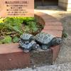 Figurine Turtle Turtle Stone Garden Gardening Hand Carved Lucky Charms Miscellaneous Small Gift Amulet Healing Outdoor Object Japanese Style Animal