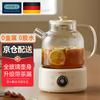 OIDIRE Full Glass Electric Wellness & Tea Kettle