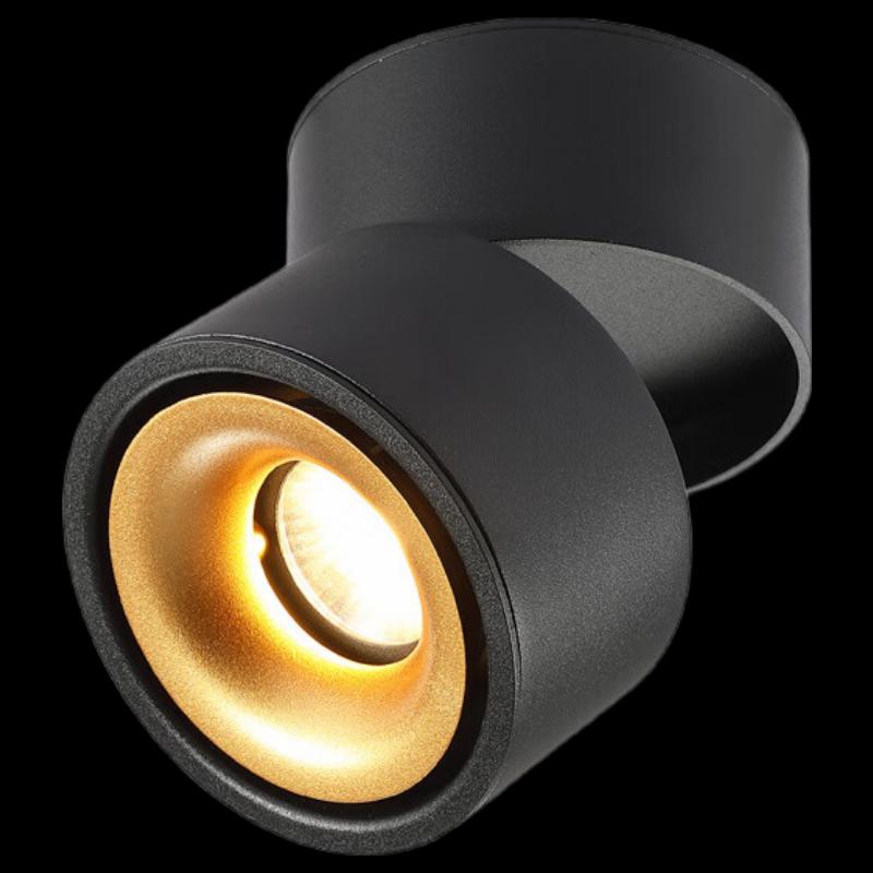 

Adjustable Angle Surface-Mounted LED Spotlight