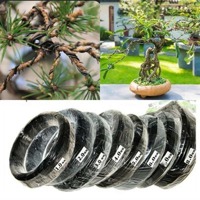 Aluminum Bonsai Wire 1/1.5/2/2.5/3mm Garden Accessories Black Bonsai Training Wire