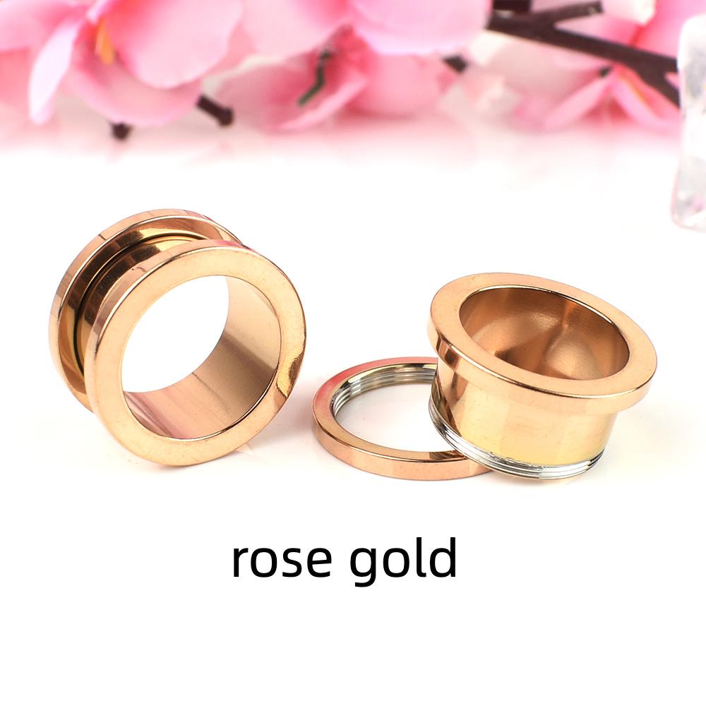 Jauges d'oreille en acier inoxydable, 2 pièces, bouchons, Tunnels, extenseur d'oreille, civière, bijoux de corps pour femmes et hommes, 3-40mm, 2 pièces