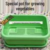 Durable Large Rectangular Plastic Vegetable Growing Pot for Balconies