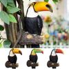 Bird Model Toucan Tree Hugger Statue Realistic Bird Figurine Toucan Bird Figurine  Birthday