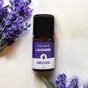 NECHIS DWQCDRDX Aroma Essential Oil Sleep Herb Oil Lavender 12ml