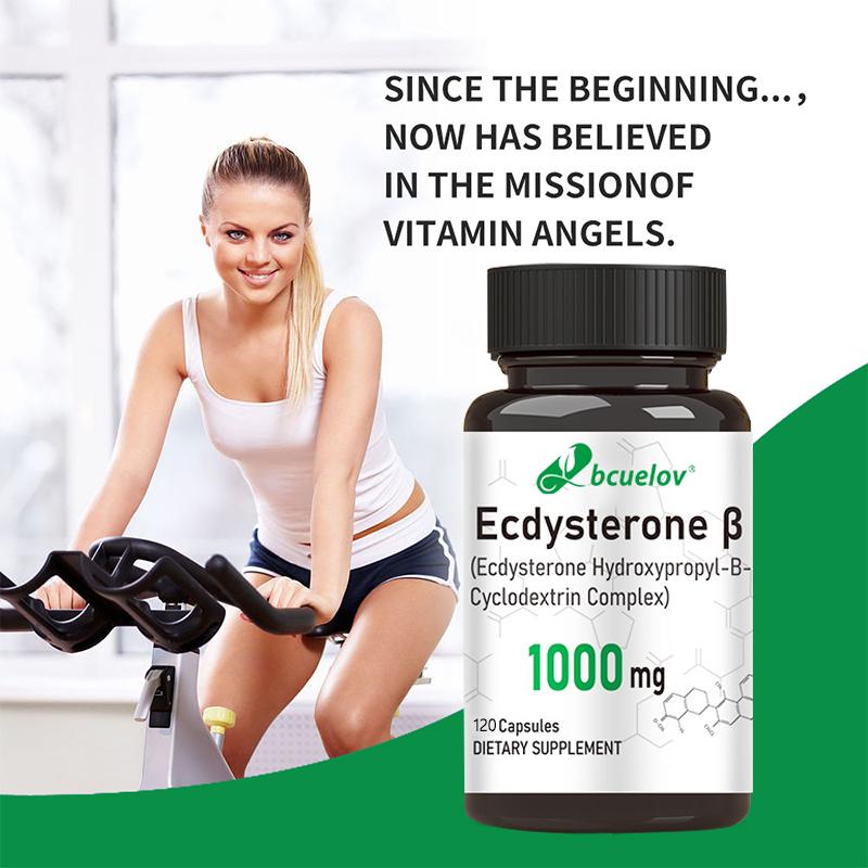 Bcuelov Ecdysterone Capsules with Cyclodextrin Complex Support Physical Performance 120 Veggie Capsules