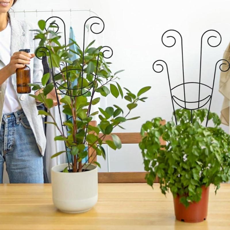 Small Metal Plant Trellis for Climbing Plant Indoor House Plant Support Trellis for Garden Potted Plant Support