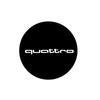 For Audi C5 2Pcs LED Car Courtesy Welcome Logo Projector Light Door Lamp for AUDI Q3 Q5 Q7 A4L RS TT S3 S5 S6 Quattro Sline A6L A3 A5 A7 A8L