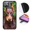 Doberman Dog Protective Cover for Samsung Galaxy Note 20 9 10 S8 S10 Lite S9 Plus A54 A53 A21S S10E A17 Phone Case