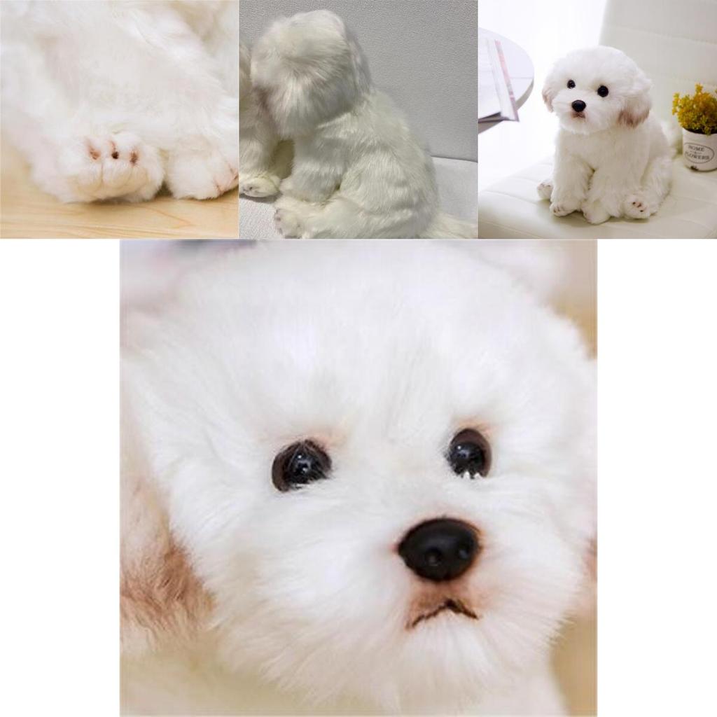 Adorable Jouet en Peluche Bichon Maltais Blanc, Rempli de Fibre, Animal en Peluche à Poils Longs, 33x24x16cm/38x26x21cm