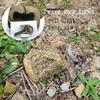 Simulation Stone Key Storage Box Resin Hidden Safe Secret Compartment Stash Cash Money Valuables Outdoor Spare Keys Holder