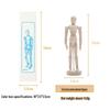 12-inch and 10-inch Jointed Wooden Mannequin Doll for Art and Painting