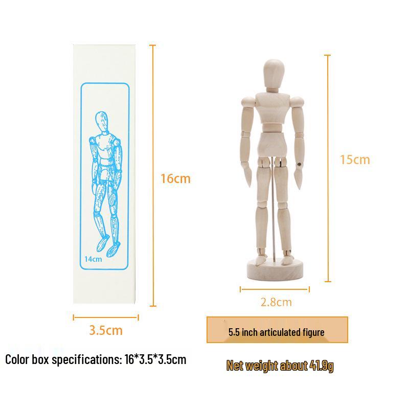 12-inch and 10-inch Jointed Wooden Mannequin Doll for Art and Painting