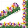 Spring Tulip Flower Party Classroom Decor Paper With Color Printing For Home And Event Use