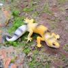Gecko Prank Props Figure Animal Toys Animal Figurines Lizards Action Model  Party Gift