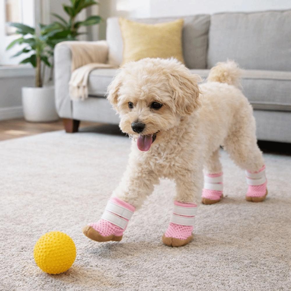 Breathable Dog Mesh Shoes Rubber Sole Dog Paw Protectors Fashion Dog Sneakers  Outdoor Walking