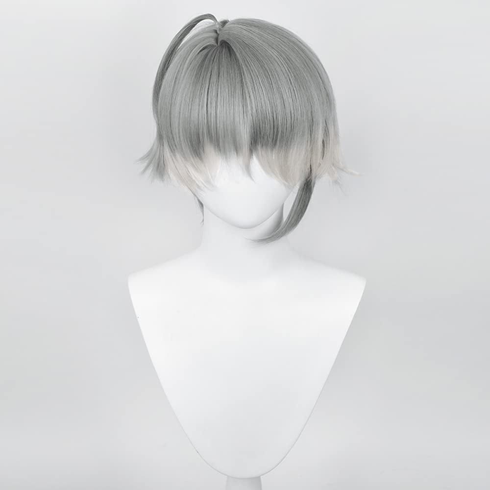 Alheizen Cosplay Costume Accessory for and Includes Wig Net Wig, Heat-Resistant, Halloween, Christmas, Parties,