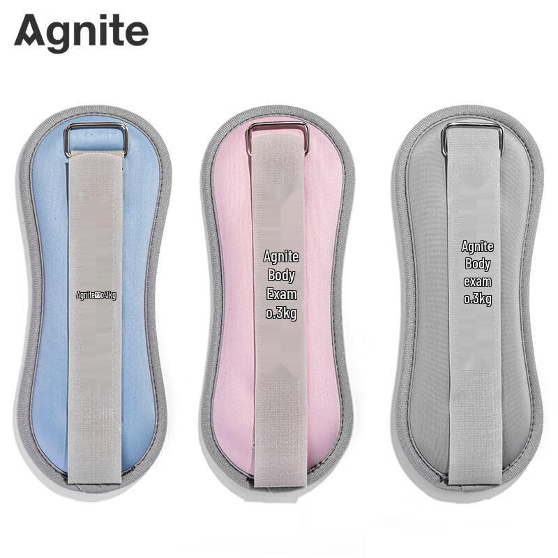 Deli & Angenete FT309 Weighted Sandbag