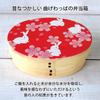 Wakacho-Stil Bento-Box mit Kirschblüten und Hase, glänzend rot, Naturfinish, 700 ml Fassungsvermögen, Maki-e-Motive, Finish, (01W-AUSA),