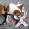 Adjustable Double Bowl Elevated Pet Feeder with Non-Slip Slow Feed Design for Cats and Dogs.