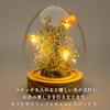 PD COLLECTION Preserved Flowers - Daisy (Japanese-made) with LED Light - Flower Gift, Present, Gift for Celebrations, Birthdays, Anniversaries,