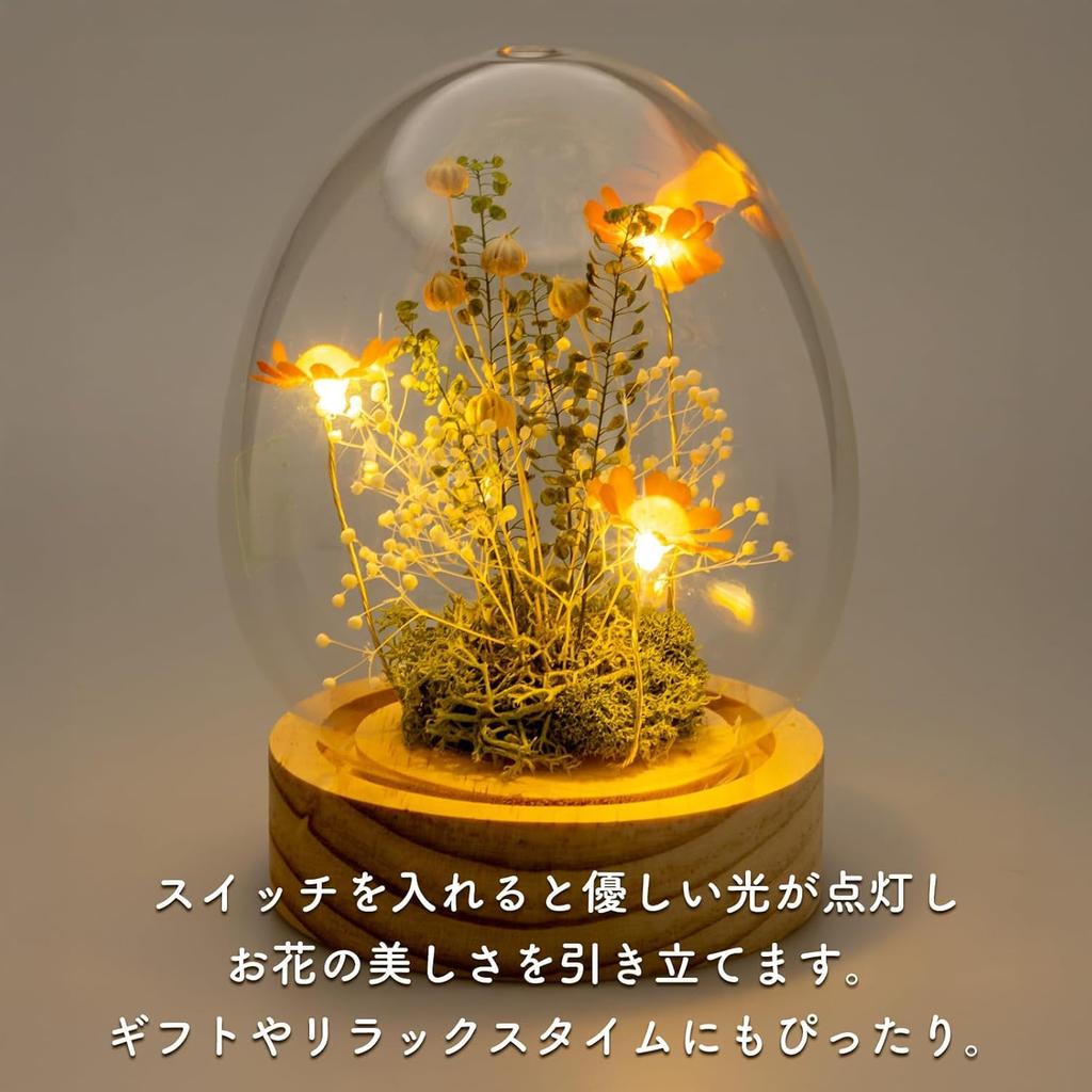 PD COLLECTION Preserved Flowers - Daisy (Japanese-made) with LED Light - Flower Gift, Present, Gift for Celebrations, Birthdays, Anniversaries,