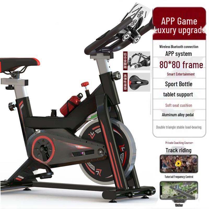 TLXT 709 Flagship Gaming Spin Bike CN plug (adapter included)