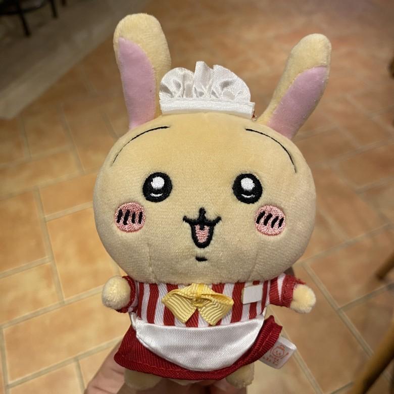 Chiikawa Usagi Plush Keychain With Pp Cotton Filling For Kids And Collectors